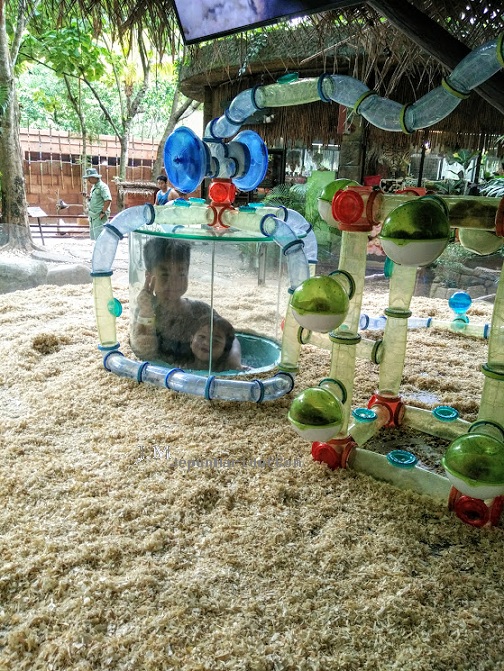 bercuti di Lost World of Tambun bercuti di Lost World of Tambun