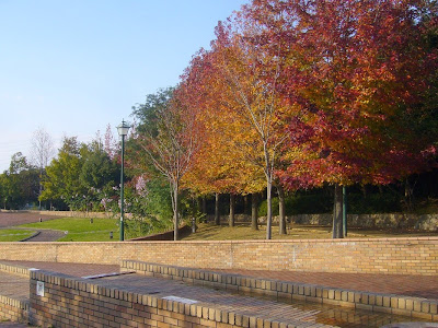 寝屋川公園 紅葉ウォーキング