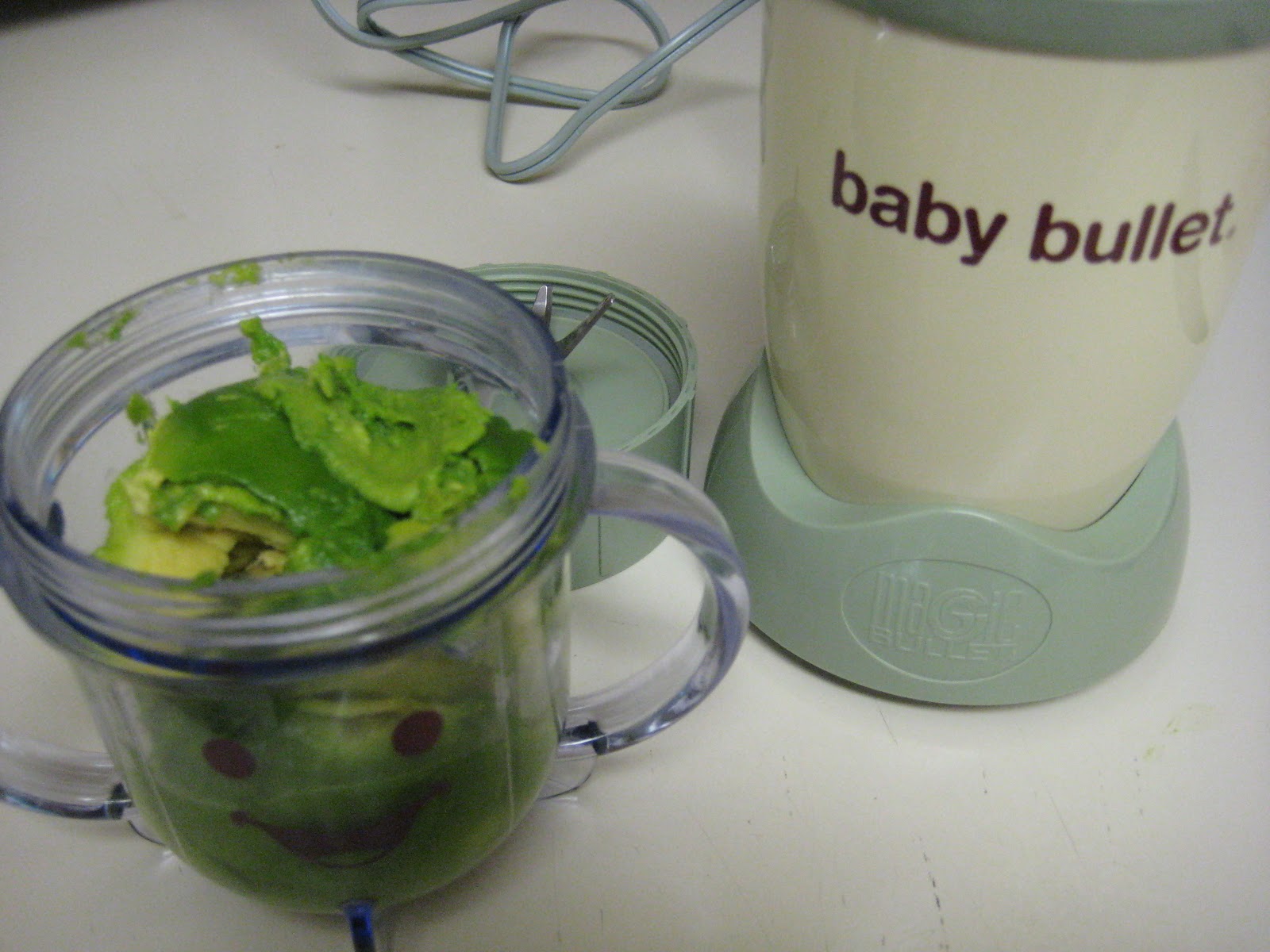 Baby Bullet Review Laura Sosa