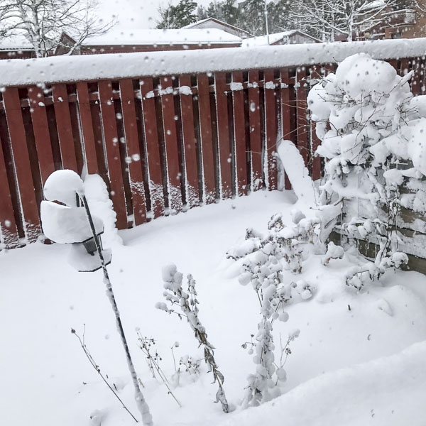 snö, trädgård snö, trädgård