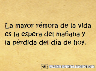 frases cortas de la vida frases cortas de la vida