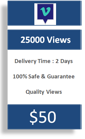 25000 Vimeo Views