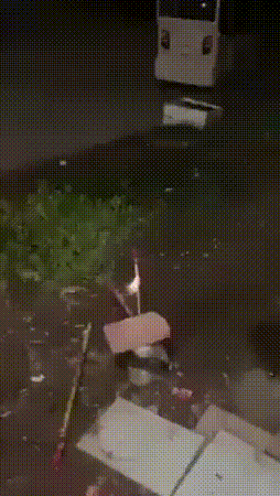 gifs_07.gif