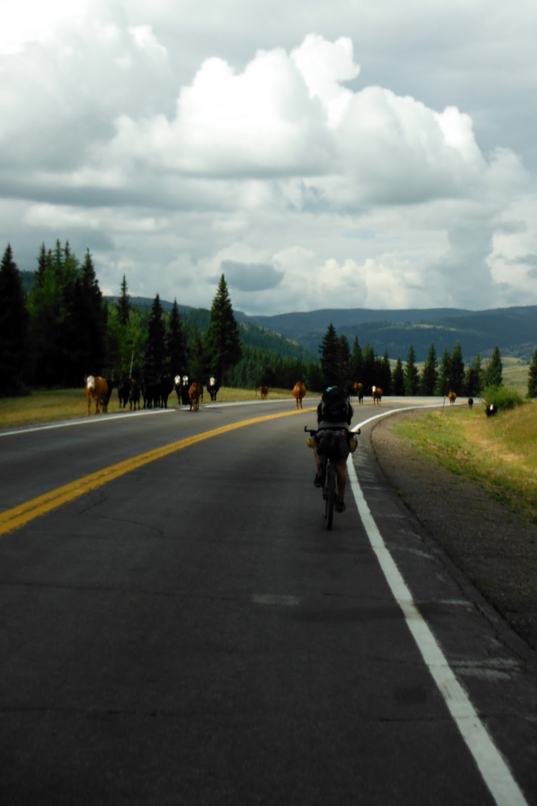 Trimble Mt. Tribune Day 25 Horca Colorado to Hopewell Lake