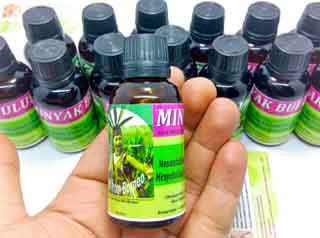 Minyak Bulus Pembesar Payudara Minyak Bulus Pembesar Payudara