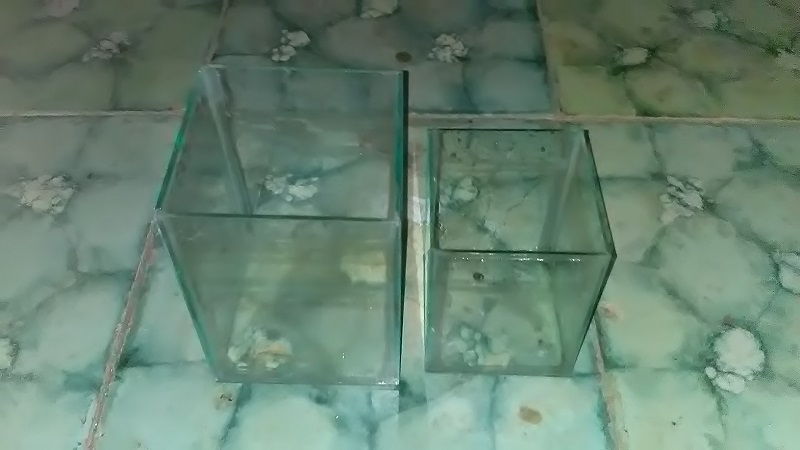 Harga Aquarium Ikan Cupang Mini Dan Berbagai Botol Cupang