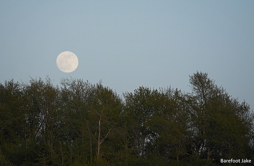 moon rising elwha