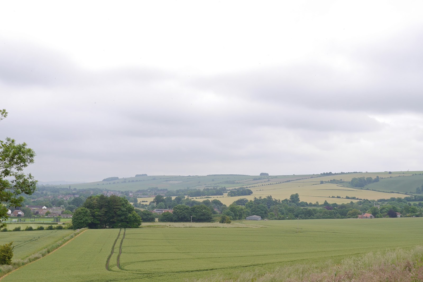 Walking in the country Market Lavington to Stoke HIll (Wessex Ridgeway [Wiltshire] 5)