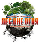 Правила поведения в лесу