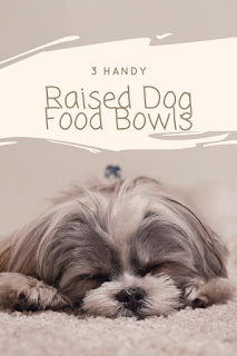 Raised Dog Food Bowls