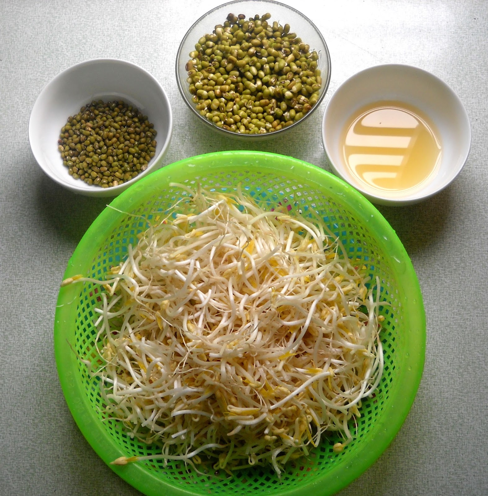 How to Grow Bean Sprouts the Vietnamese Way Vietnam travel guide