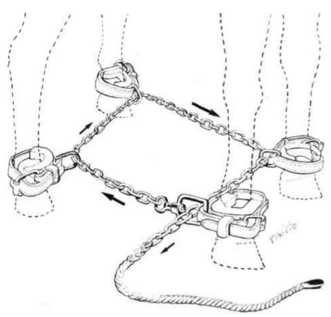 Fig. 1.9 Derrubamento de equinos pelo método dos travões ou berlinense berlinense-metodo-derrubacao-equino-como-derrubar-cavalo