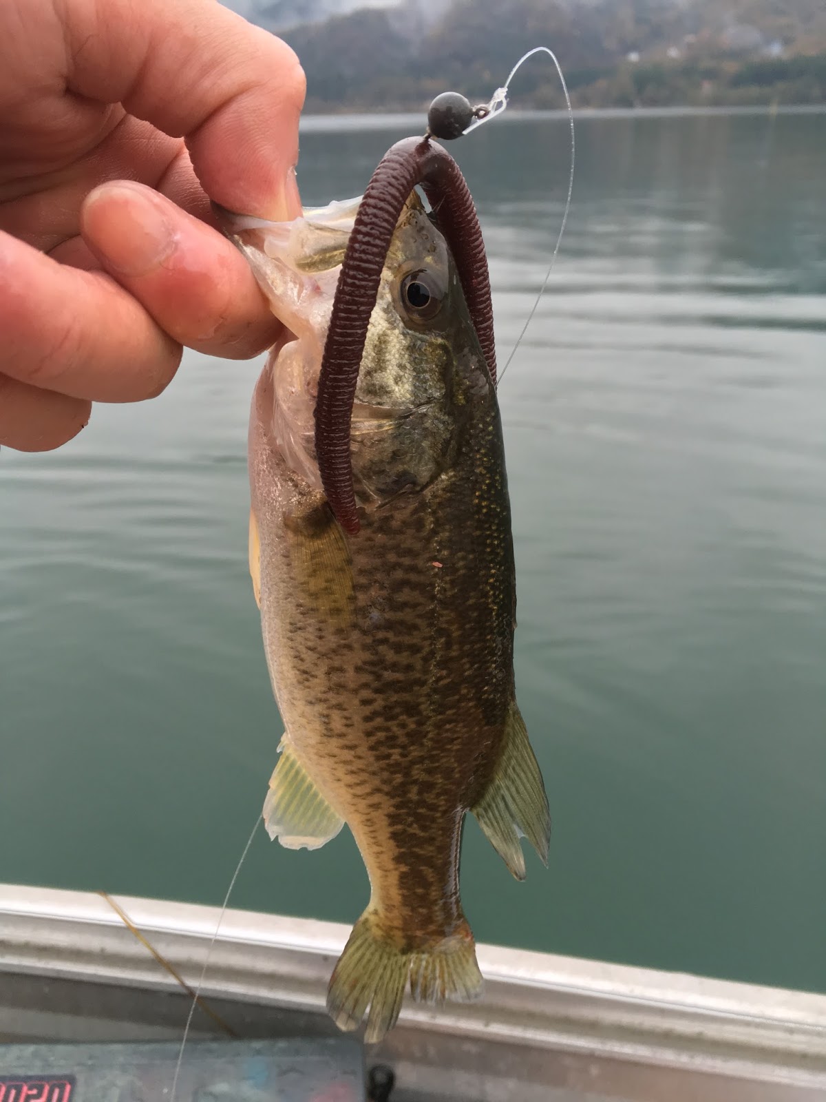 最後のバス釣りパラダイス 北湖 17 Naniwano Predators