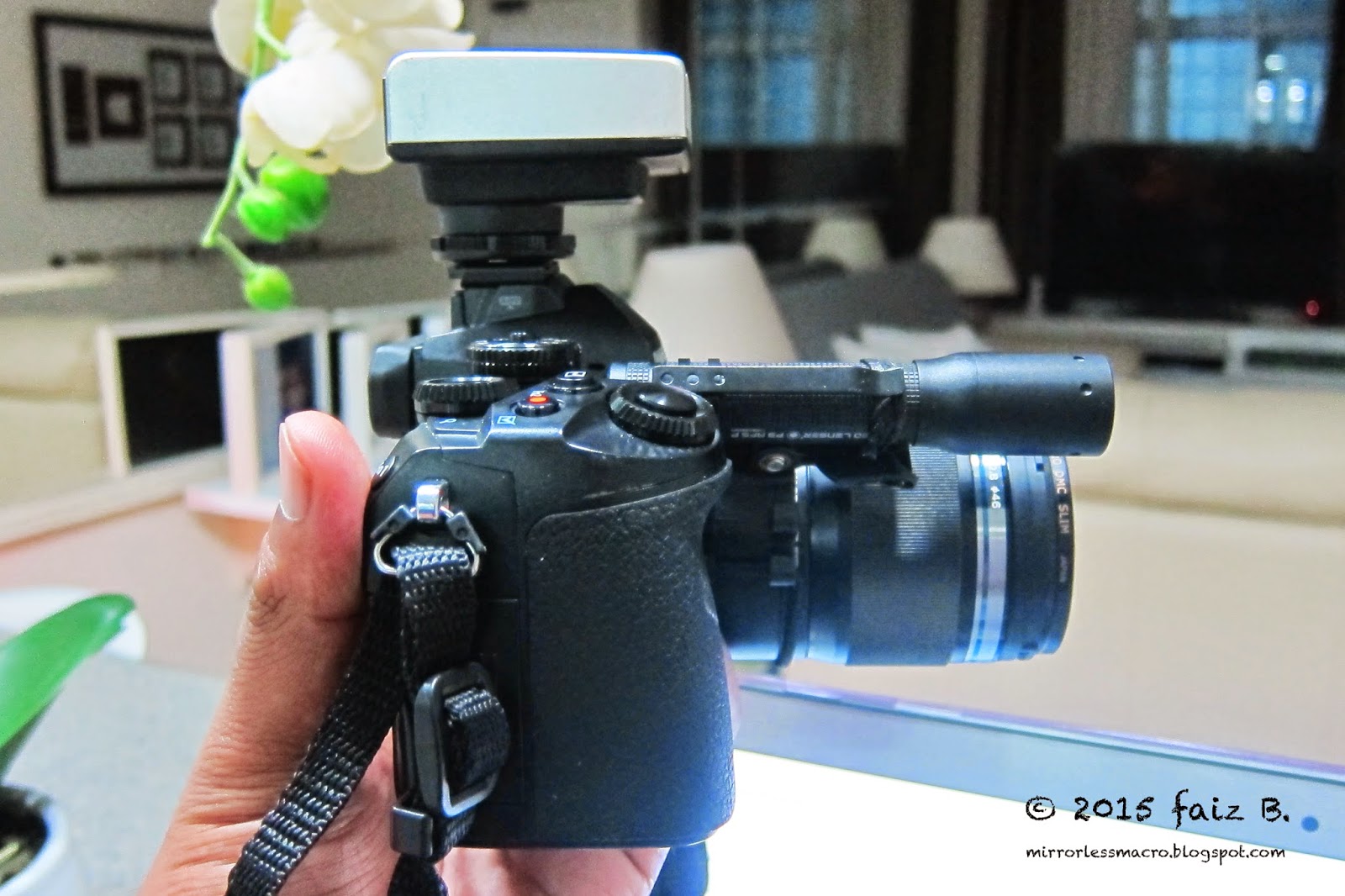 Mirrorless Macro Photography Macro Diffusion for the Mirrorless Camera