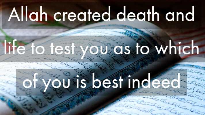 Islamic Quote About Death Life After Death In Islam Delectable Quotes About Death And Life Islamic Quote About Death Life After Death In Islam Delectable Quotes About Death And Life