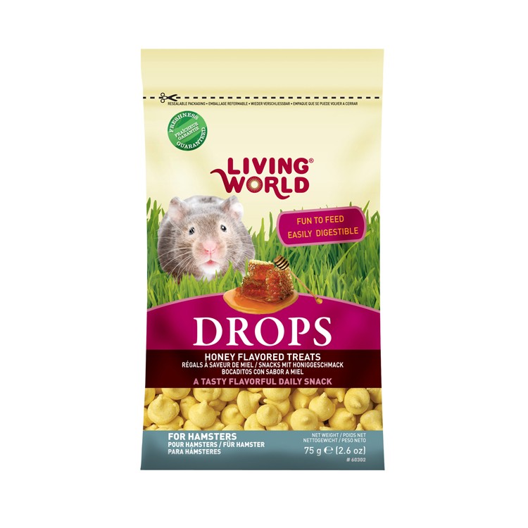 Now Dog Food Pet Va Now Dog Food Pet Va
