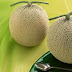 Manfaat Buah Melon Bagi Kesehatan Manfaat Buah Melon Bagi Kesehatan
