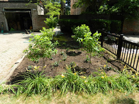 Mount Pleasant West garden renovation removing lawn after by Paul Jung Gardening Services Toronto
