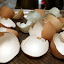 These 7 benefits of egg shells will surprise you .. -hot-gallery-hot-gallery
| Timesok.com