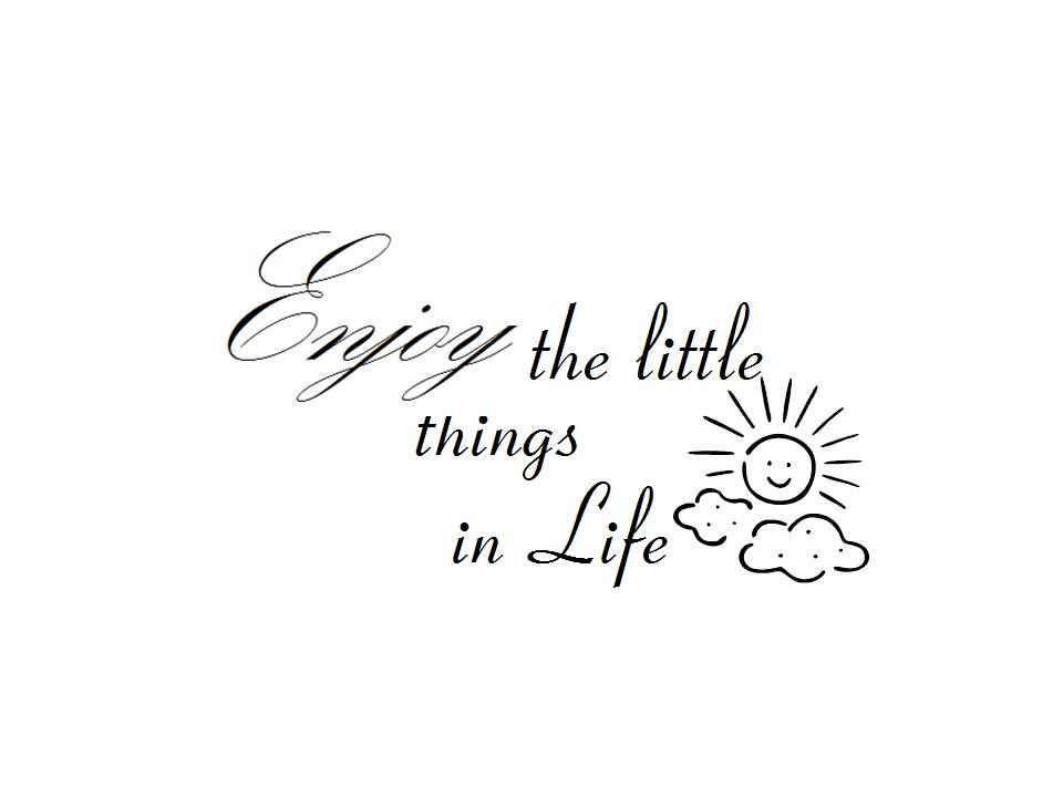 Enjoy The Little Things In Life Traducao