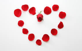 whatsapp love dp download whatsapp love dp download