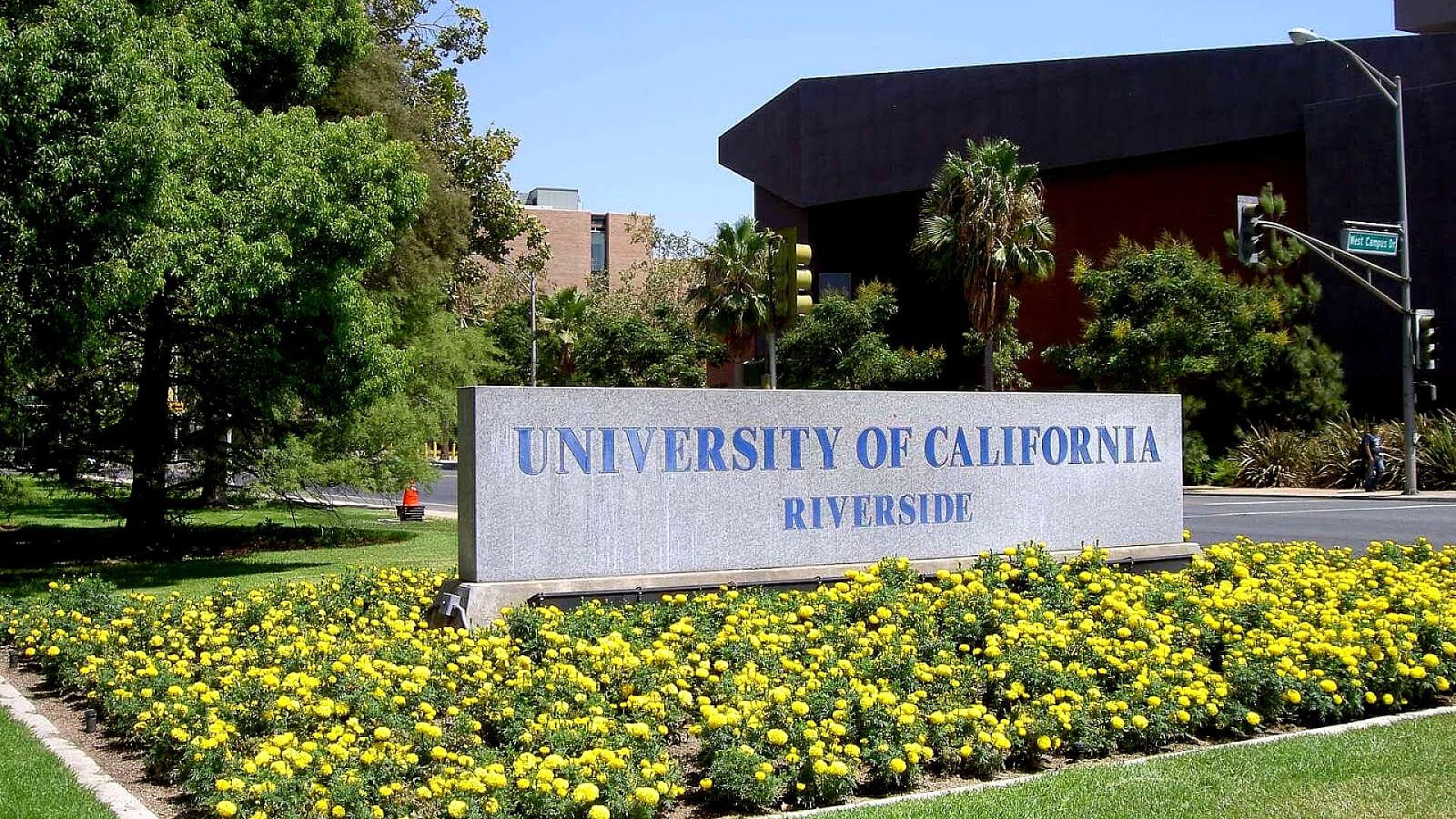 California Graduate School Of Psychology School Choices California Graduate School Of Psychology School Choices