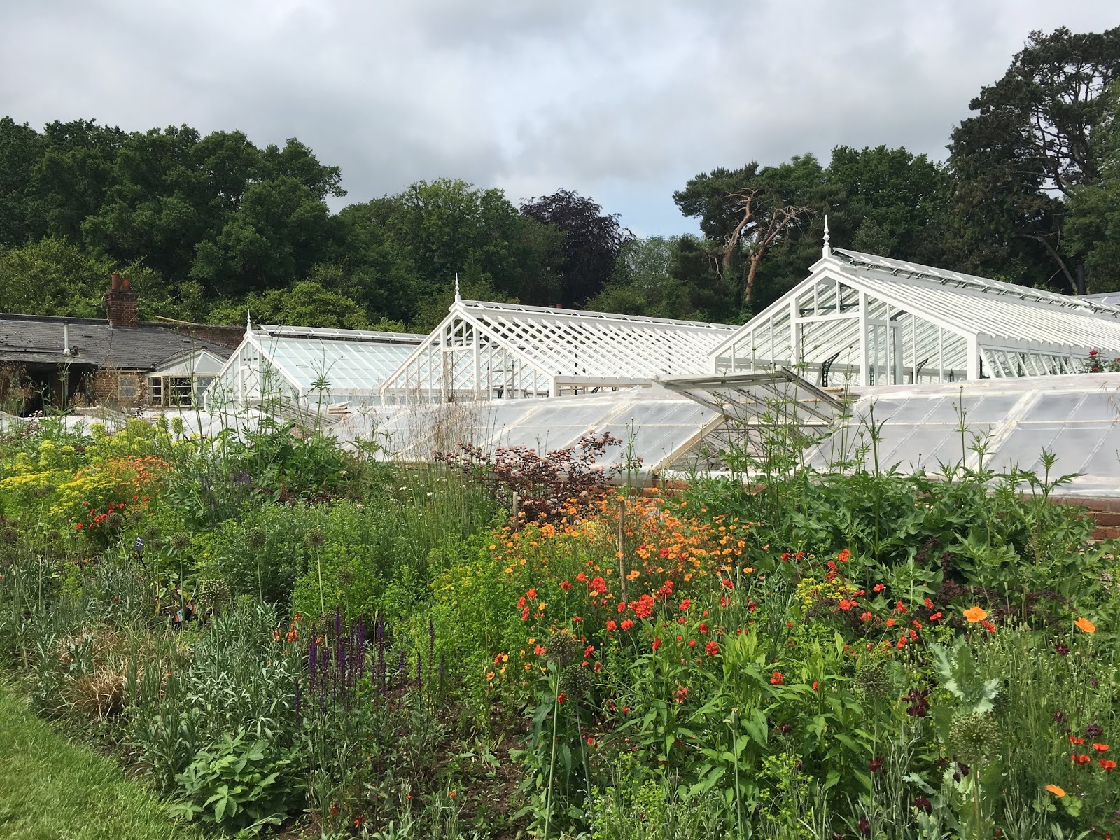 The Walled Nursery near Hawkhurst rather a special place