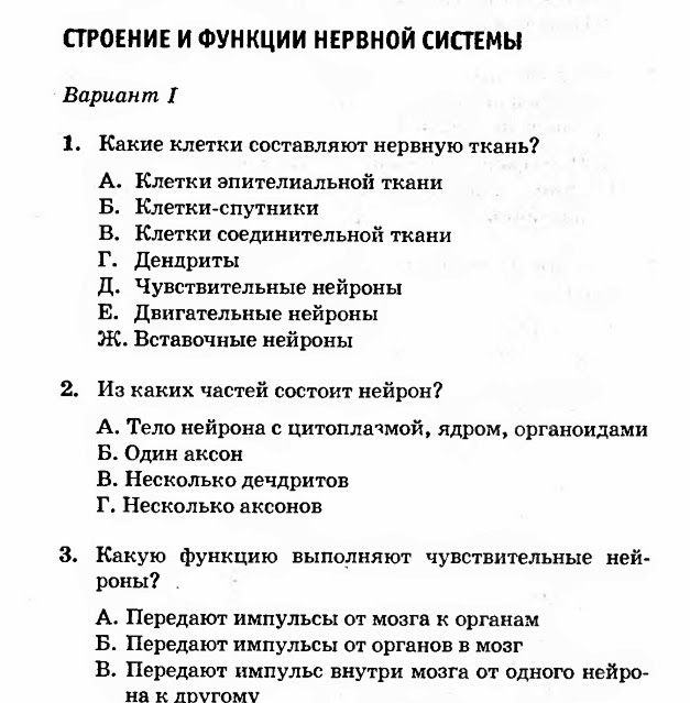 Контрольная по географии 11 класс северная америка. Контрольная работа по географии 7 класс северная америка. Контрольная по географии 11 класс северная америка. Контрольная по географии 11 класс северная америка. Контрольная по географии 11 класс северная америка.