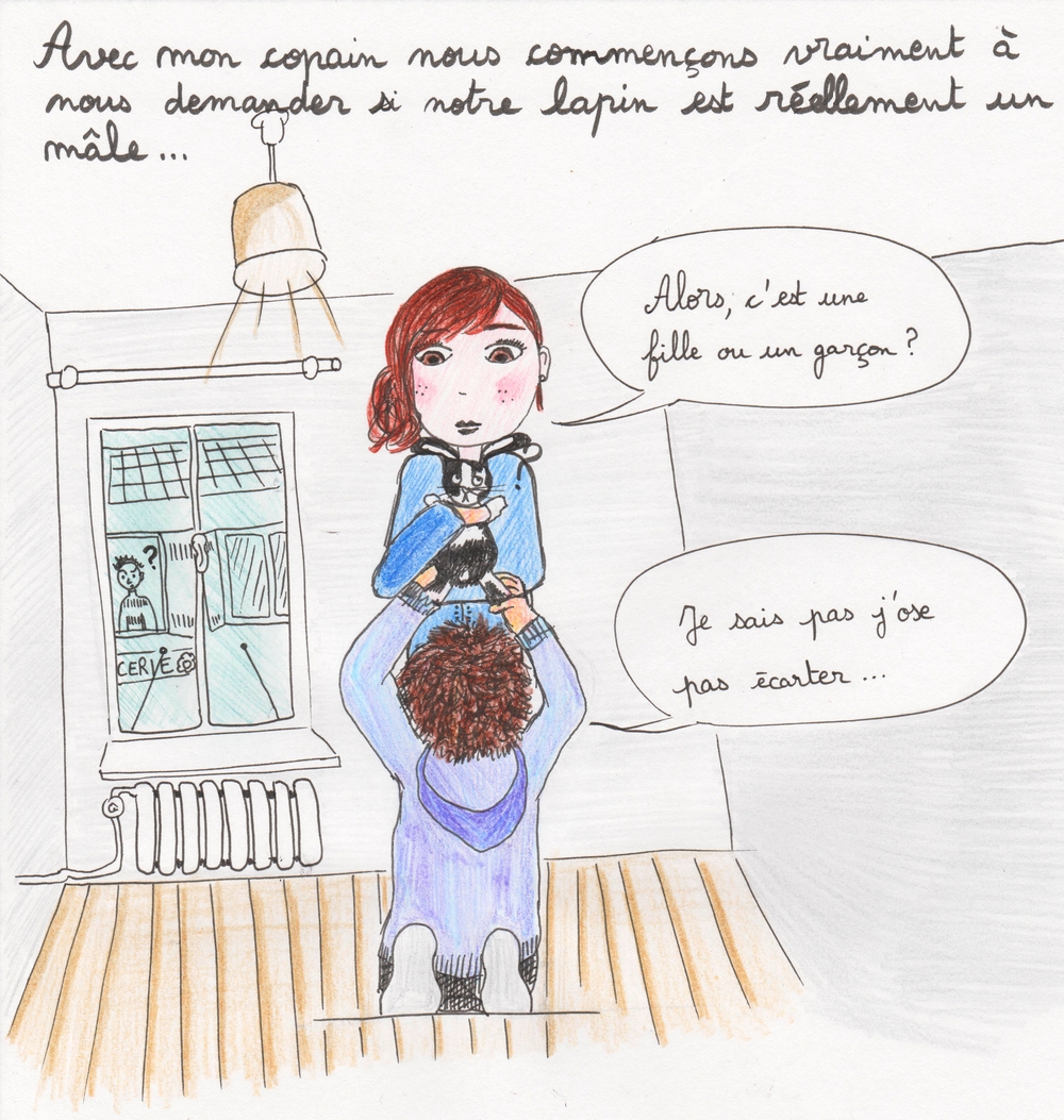 Quand On A Quelque Chose Entre Les Jambes Lemon Pulp: Les interrogations utiles