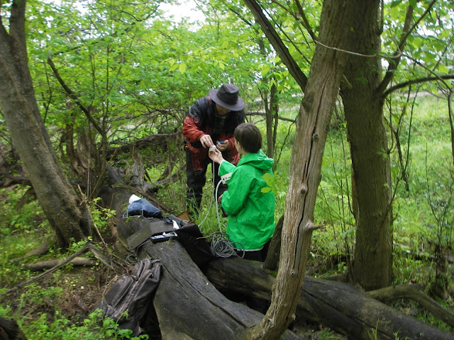 Spring sampling in the rain Spring sampling in the rain