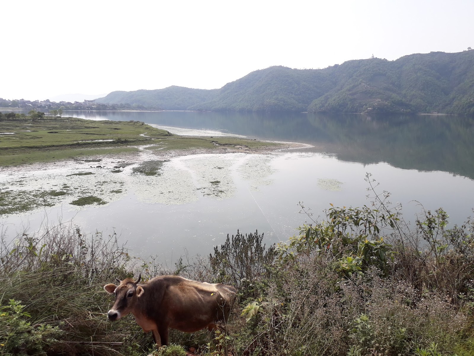 Get Ziellos englisch For Android Free Ziellos Englisch