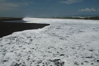 wisata dijember, pantai paseban wisata dijember, pantai paseban