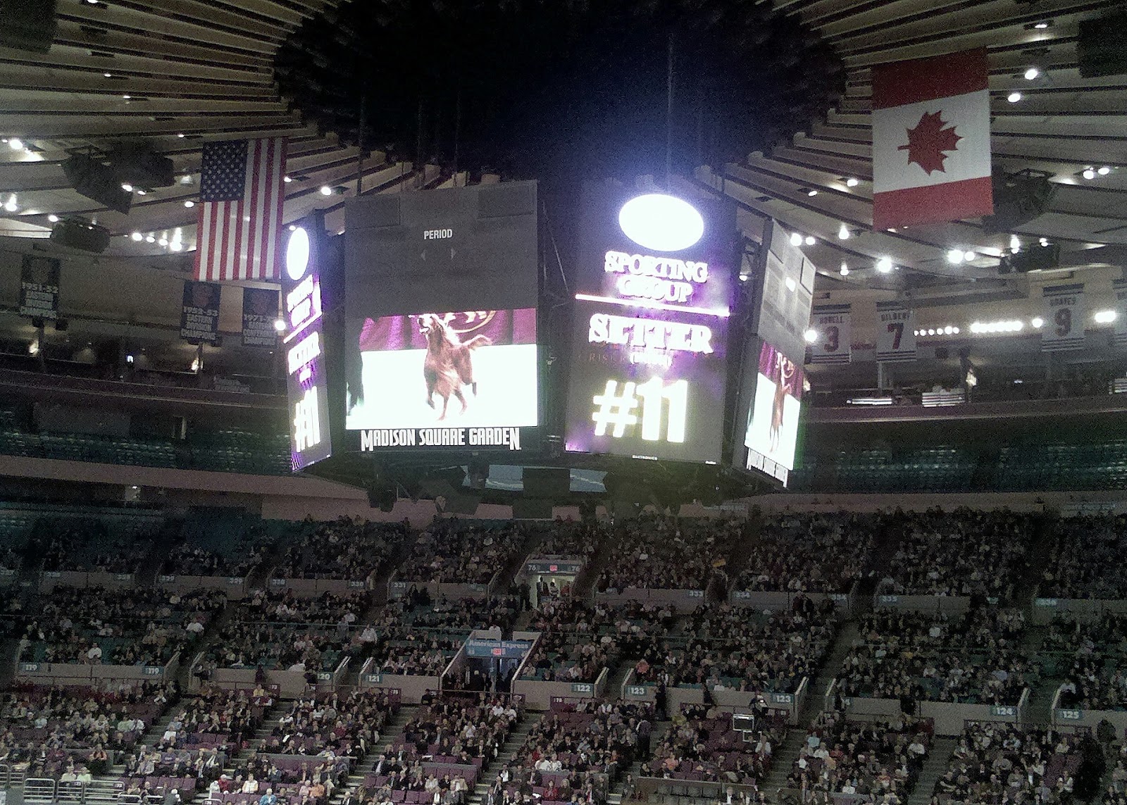 Unique To NYC Westminster Dog Show at Madison Square Garden (2 of 2)