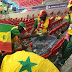 World Cup: See What Senegal Fans Did After Their Epic Victory Against Poland (Photos)