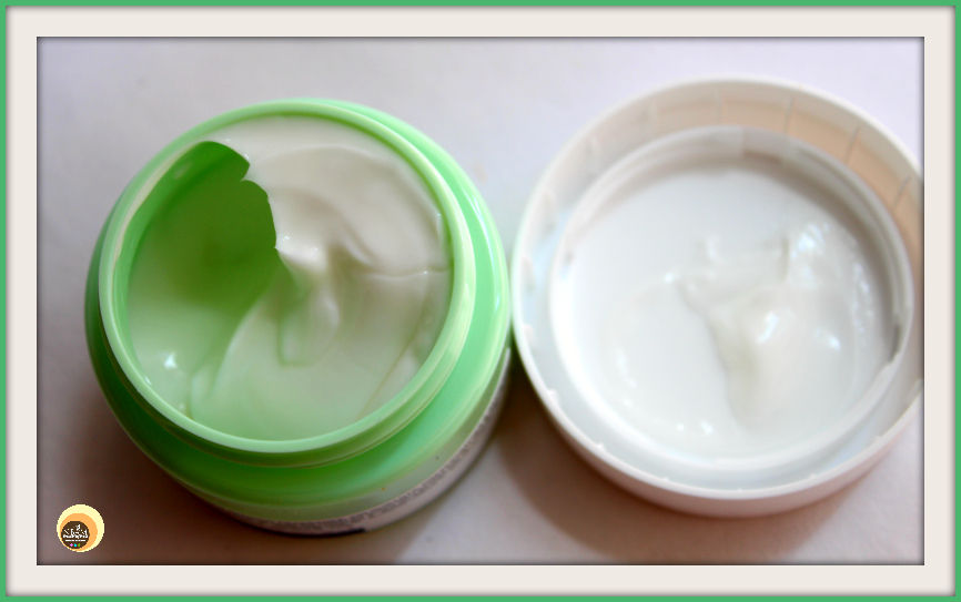 Natural Beauty And Makeup The Body Shop Aloe Soothing Night Cream
