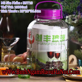 bình ngâm rượu không vòi 10 lít