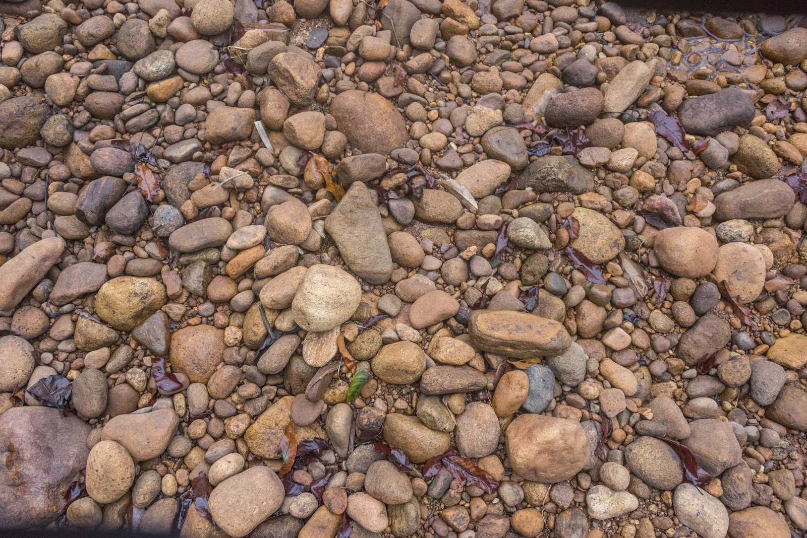 Pebbles in Kallar river