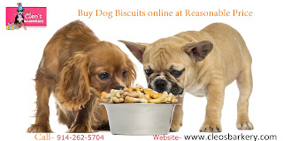  Buy Dog Biscuits
