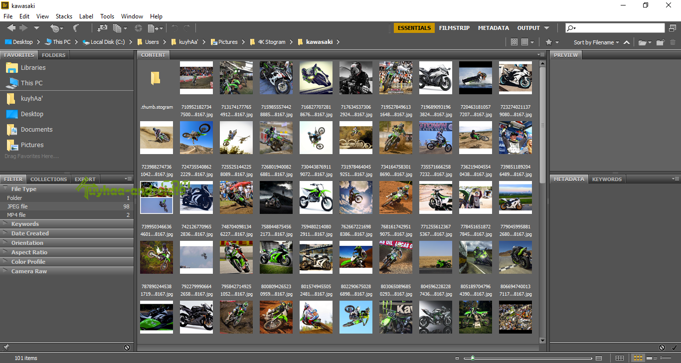 Download Adobe Bridge CC 2018 Full Crack