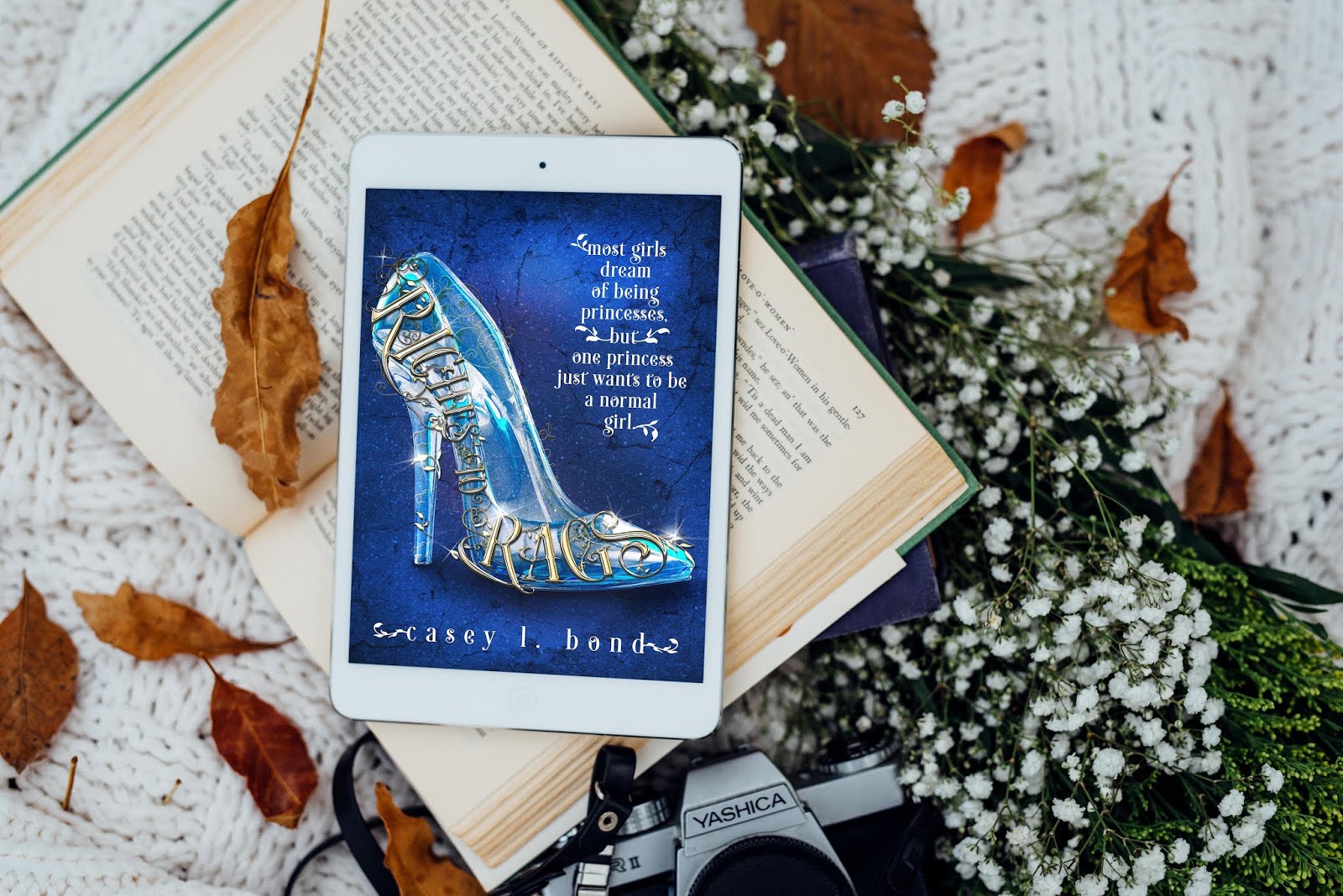 Riches to Rags Sales Blitz with Casey L Bond.