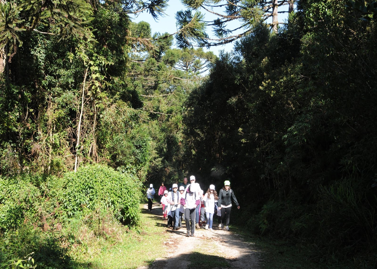 Mananciais da Serra tem programação anunciada - Lobi - Cicloturismo e ...