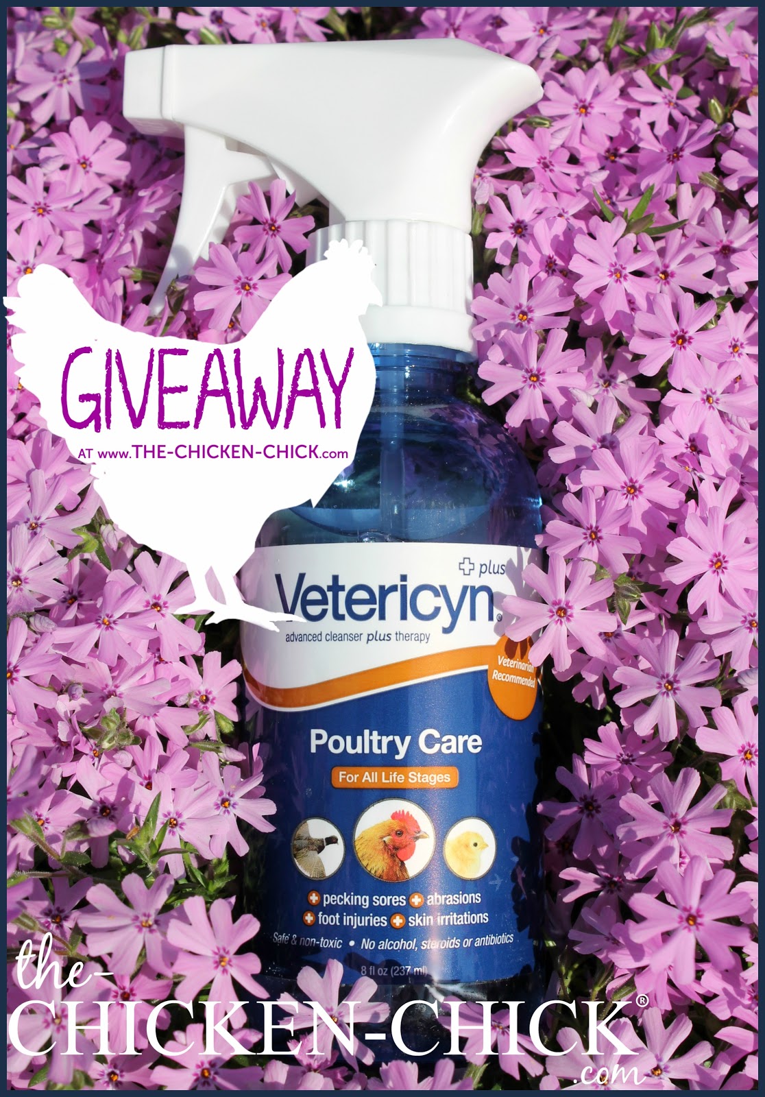 The Chicken Chick® How to Humanely Euthanize a Chicken by Dr. Mike