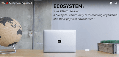 The Apple Brand Ecosystem Explained
