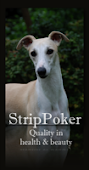 Strippoker