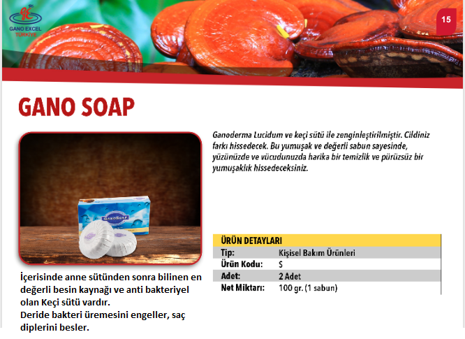 SAĞLIĞINIZ İÇİN " Reishi Mantarı " ÜRÜNLERİMİZ