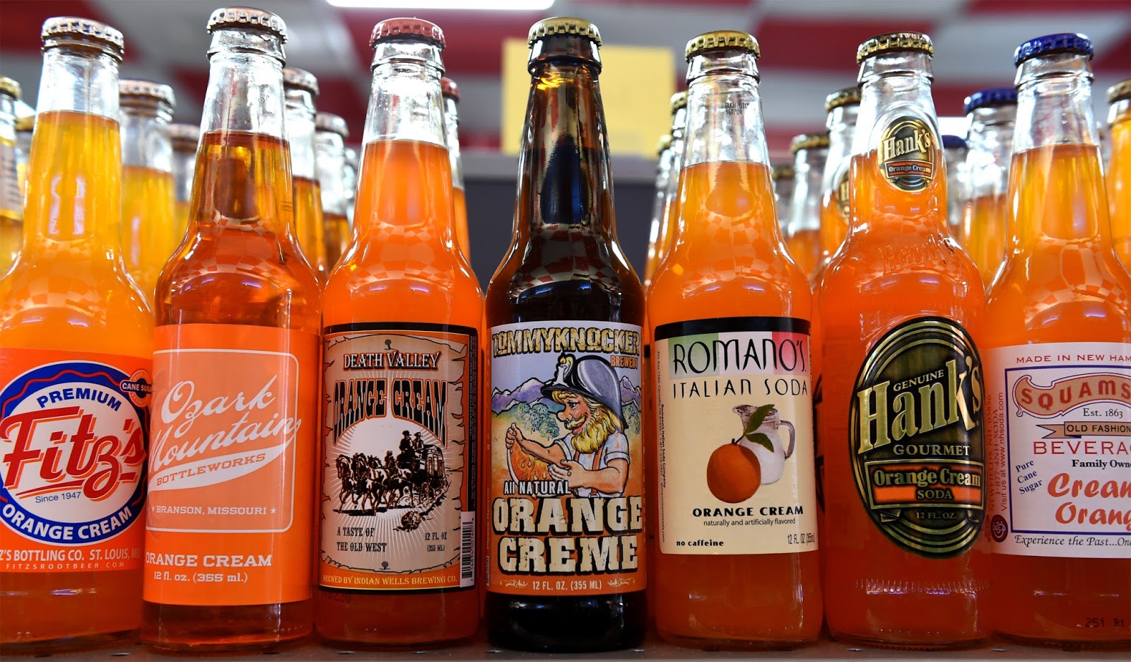 Ann Erdman Freedom Tour Halffaced Selfies Revisited