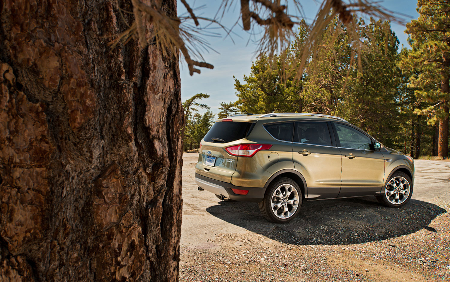 KWS CARS WALLPAPERS: 2013 Ford Escape
