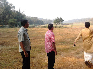Paddy field at Punchapadam line