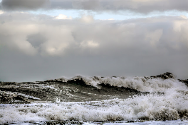 Waves churn on the North Sea at St Mary's Island
