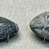 «Οι Συστημένες» Πέτρες-βλήματα των Αρχαίων Ελλήνων σφεντονιστών... 